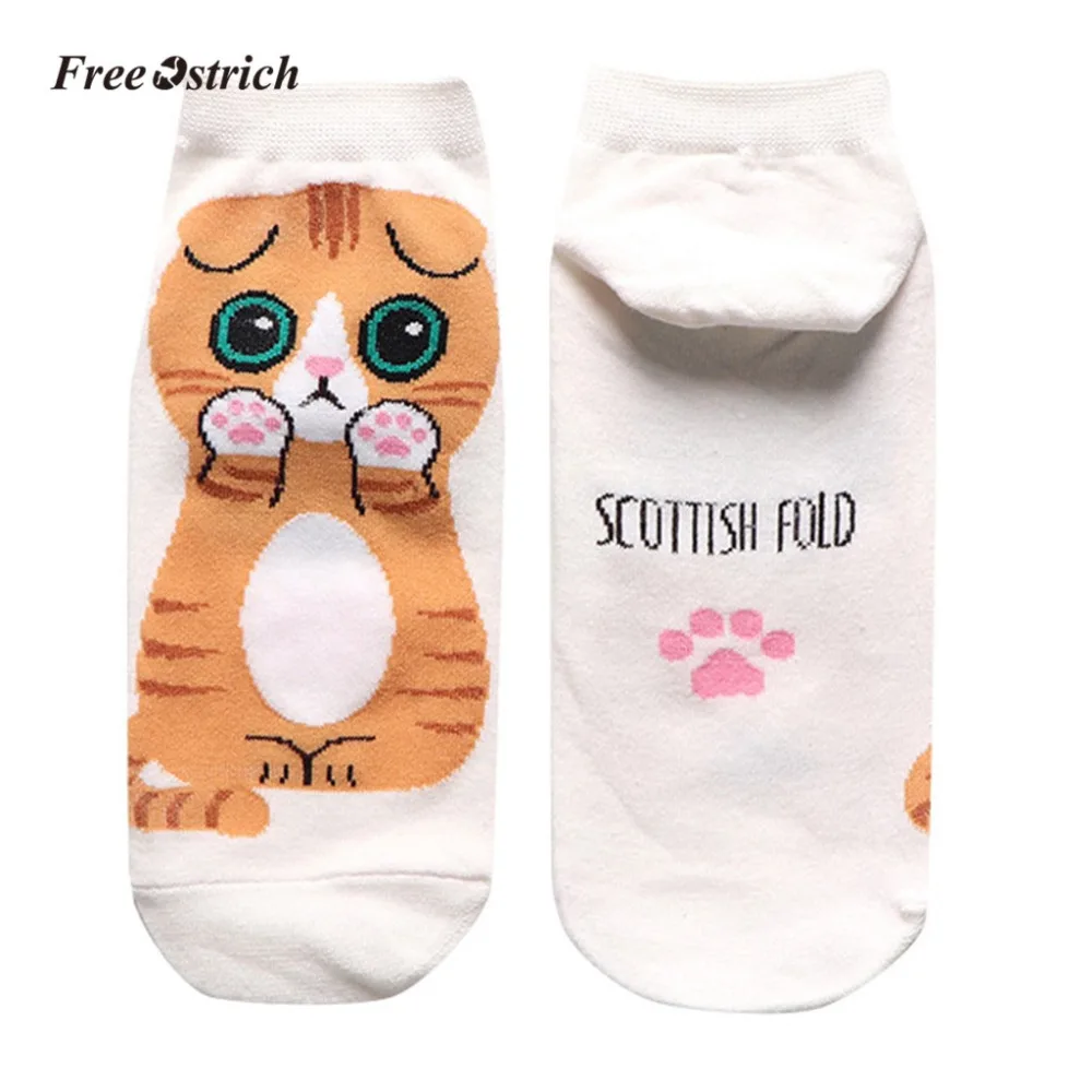 4 - YQT90309192_2019030909450979212