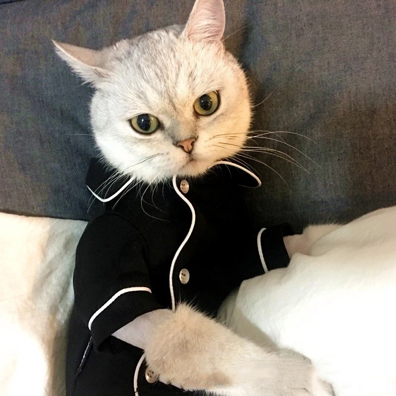 Melt Hearts With Cute Pajamas For Dogs