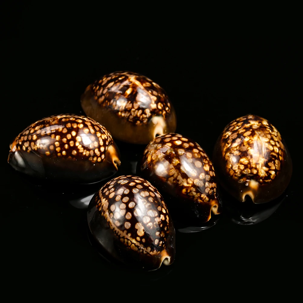 H43ab66619efd49e48aea6cb6ad863c39R.jpg?width=1001&height=1001&hash=2002