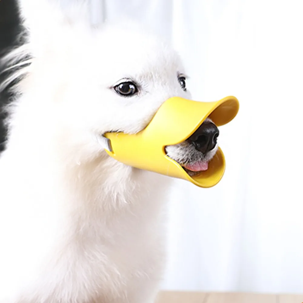 346450_no-logo_346450-1-09-g