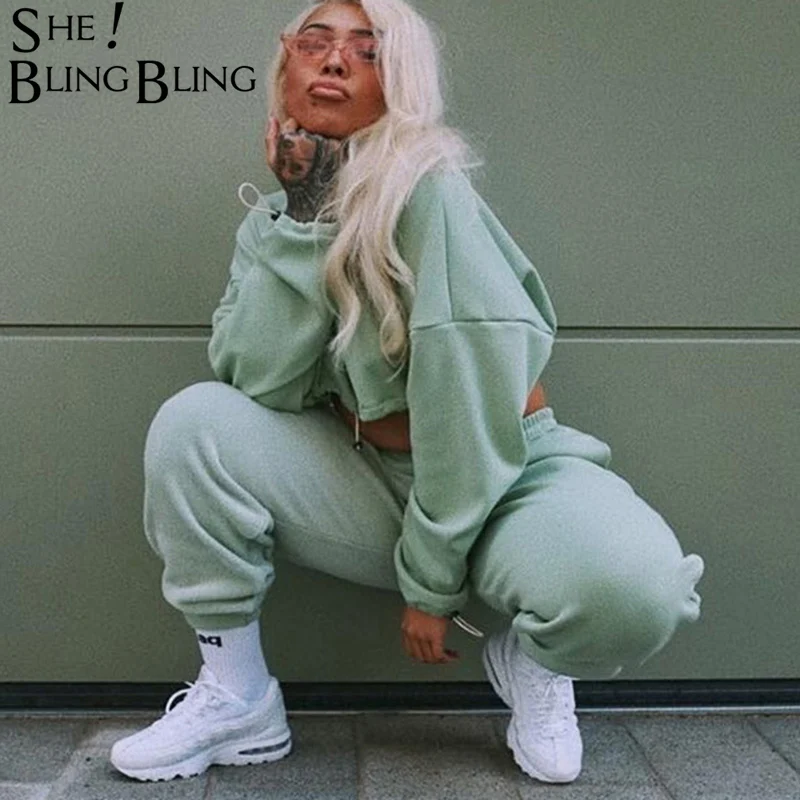 

SheBlingBling Autumn Winter Loose Casual 2 Piece Set Women Long Sleeve Drawstring Tops Elastic High Waist Harem Pants Outfits