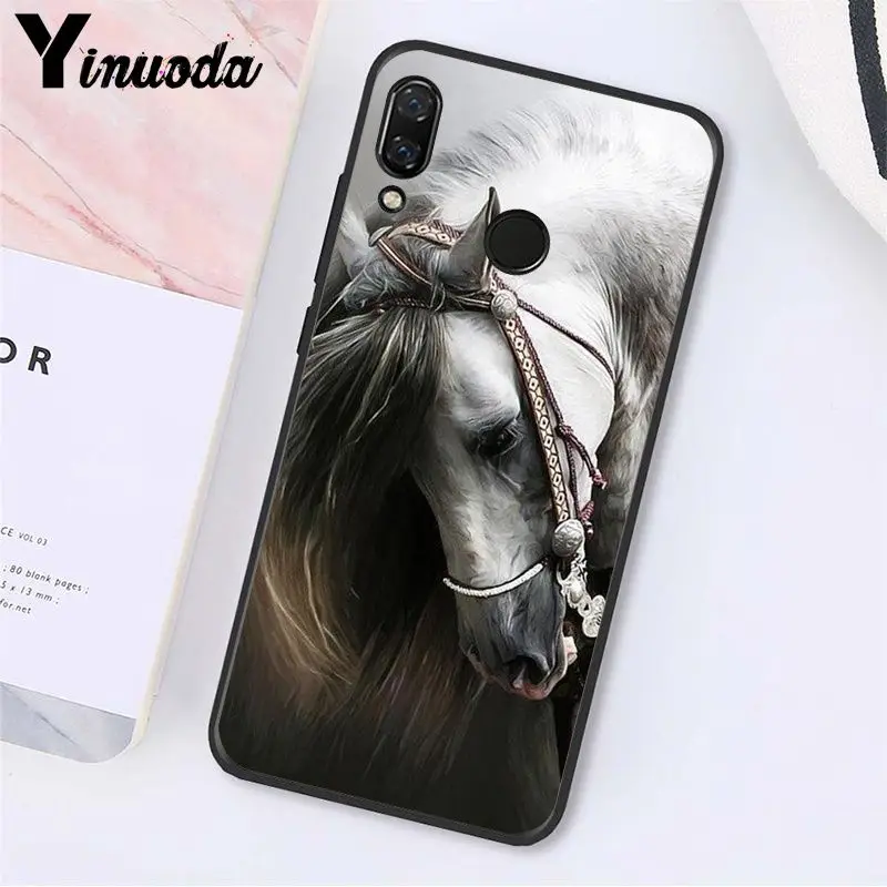 Running Horse Animal