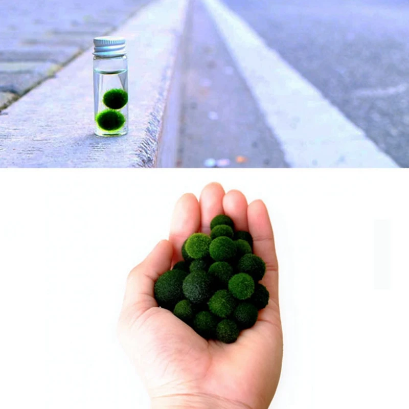 

Aquatic Decorative Moss Balls Natural Living Plant for Fish Tank Heart Shaped Marimo Moss Ball Aquarium Micro Landscape Supplies