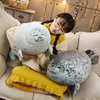 Stuffed Animals 