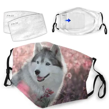 

Animal Printing Protection Face Mask Unisex Cotton Mouth Mask Washable Breathable Reusable 1PC Mask With 2PC Mascarillas