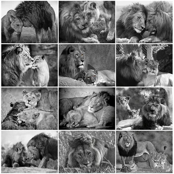 

HUACAN Full Square Round Diamond Painting Lion Diamond Embroidery Sale Animal Rhinestones Pictures Home Decor Gift