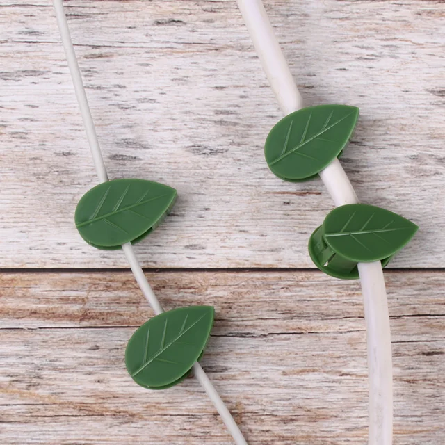 10 Darabos Láthatatlan Konzol Rögzített Csatlevél Klipek Növényi Hegymászó Fali Felszerelés Rattan Szőlő Vontató Tartó Kerti Rögzítőelemek - Image 4