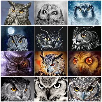 

HUACAN Full Drill Diamond Painting 5D Owl DIY Diamond Embroidery Sale Animal New Arrival Mosaic Home Decor