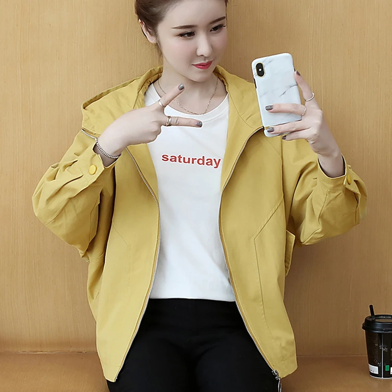 19109151744_2018105051