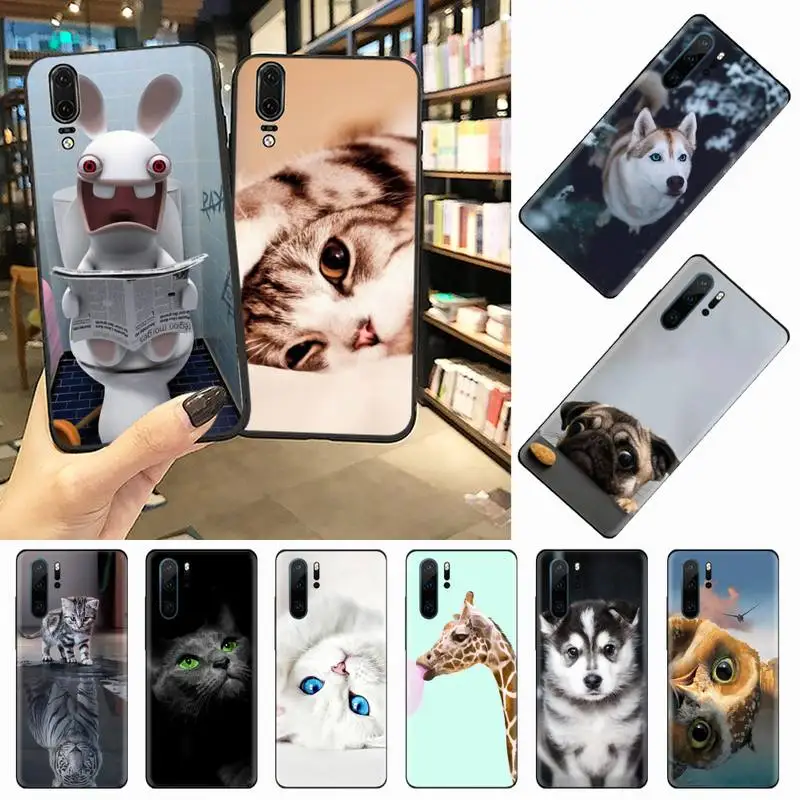 Чехол для телефона с изображением животного кота собаки жирафа Huawei honor Mate P 9 10 20 30