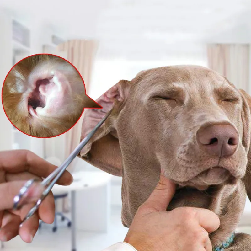 

Pet Cat Dog Hair Clipper Cleaning Ear Elbow Pet Grooming Supplies Dog Accessories Clean Ears Hair Pet Cleaning Pliers