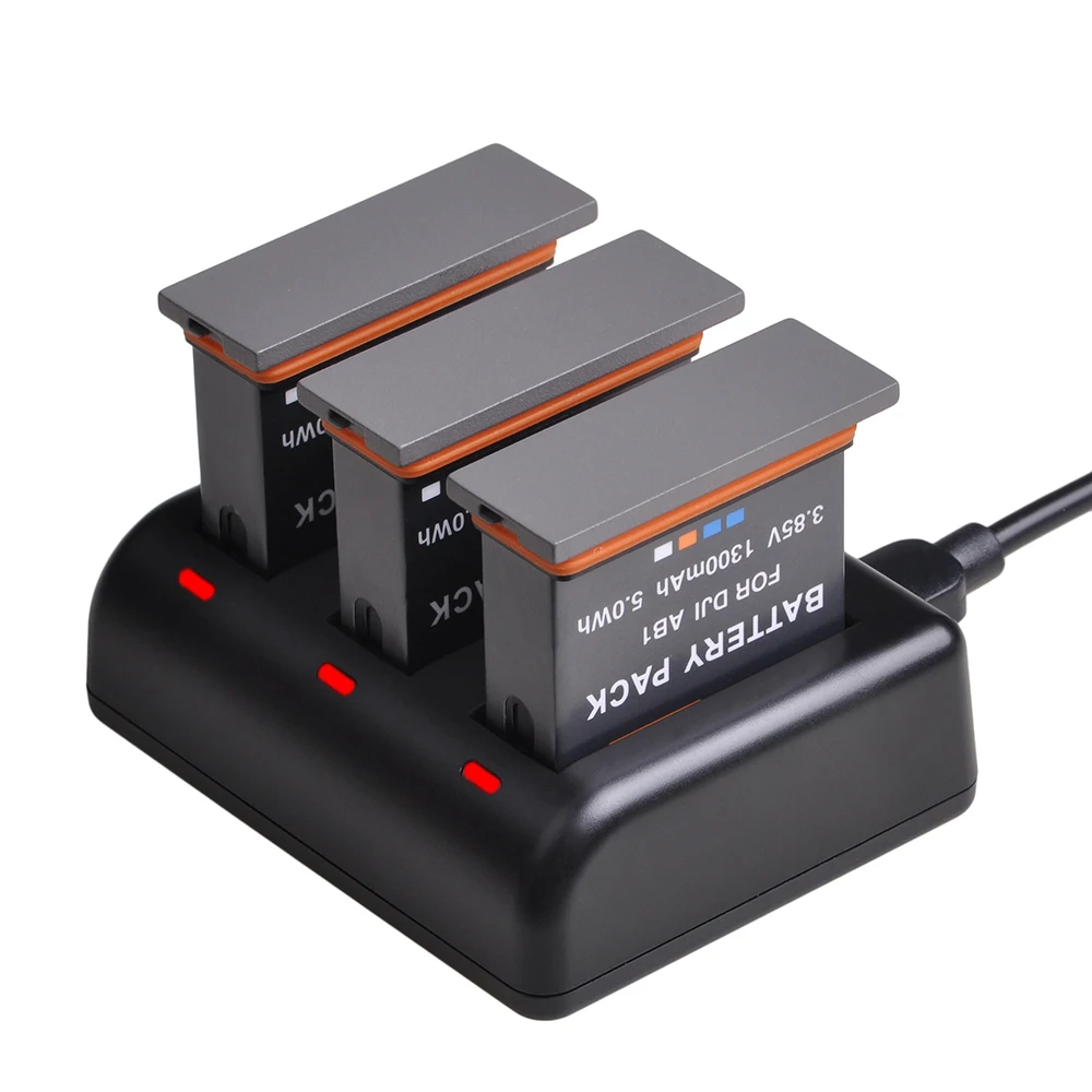 Аккумулятор PowerTrust 1300 мАч AB1 + зарядное устройство USB с портом Type C для DJI Osmo Action S Port s