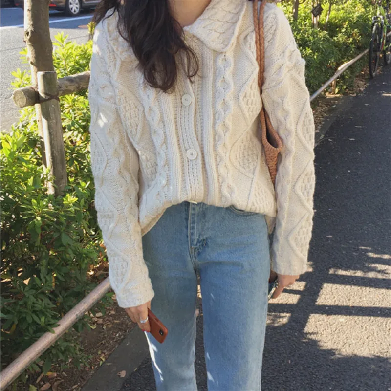 

Fashion Design Loose Casual All-Match Thick Lapel Sweater 2020 New