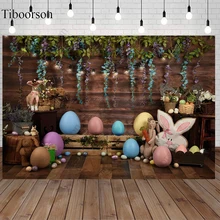 

Easter Spring Decoration Wood Board Backdrop Photography Carrot Bunny Eggs Newborn Baby Child Portrait Background Photo Studio