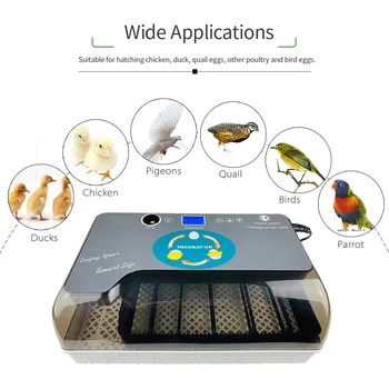 

Digital Egg Incubator Machine Automatic Eggs Hatcher with Eggtester Automatic Egg Turning 12 Eggs Poultry Hatcher 110-220V