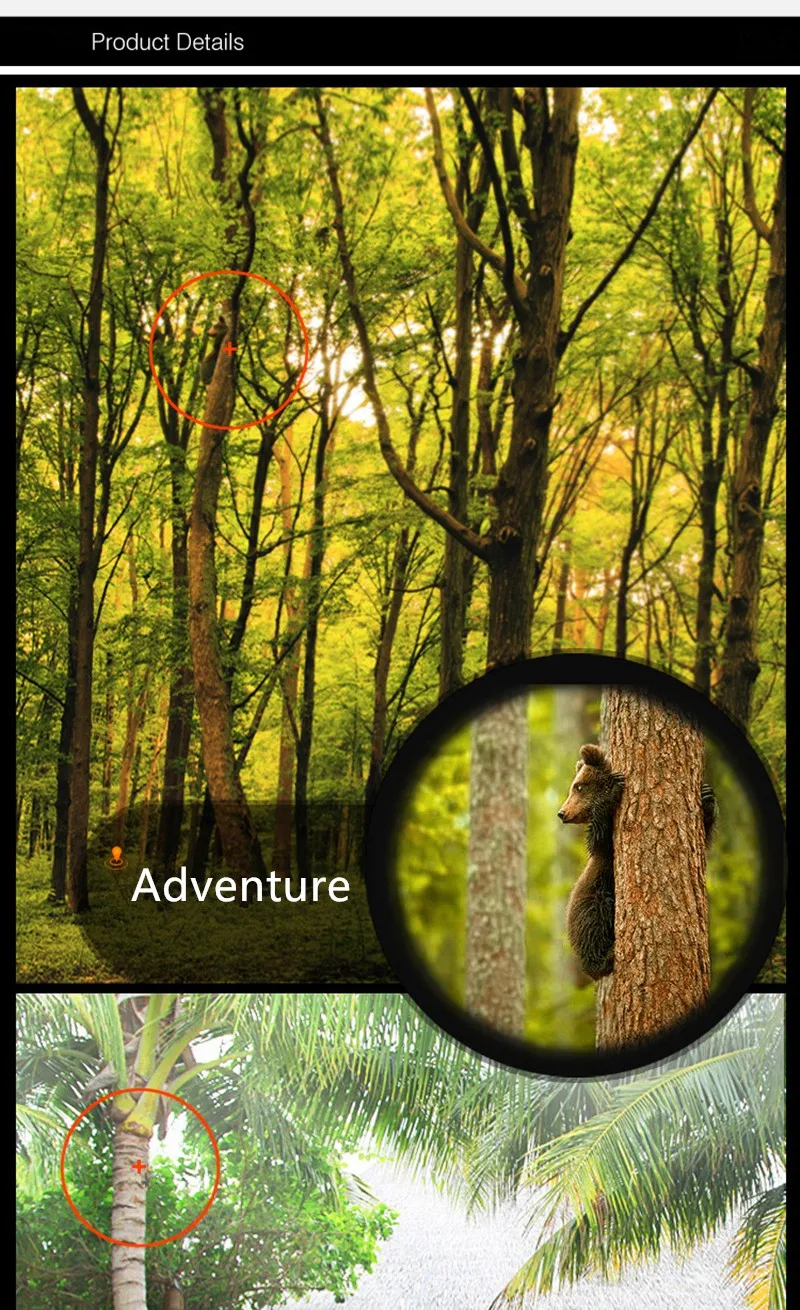 HTB1JbeFNFXXXXarXpXXq6xXFXXXK