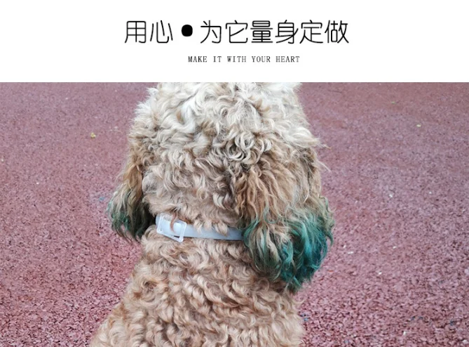 JOYLIVE New Pet Dog Cat Collar Anti Flea Mosquitoes Outdoor 8 Months Long-term Protection Adjustable Pet Collar Accessories JOYLIVE New Pet Dog Cat Collar Anti Flea Mosquitoes Outdoor 8 Months Long-term Protection Adjustable Pet Collar Accessories