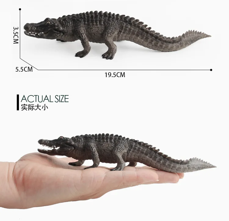 9004155448_1793268619