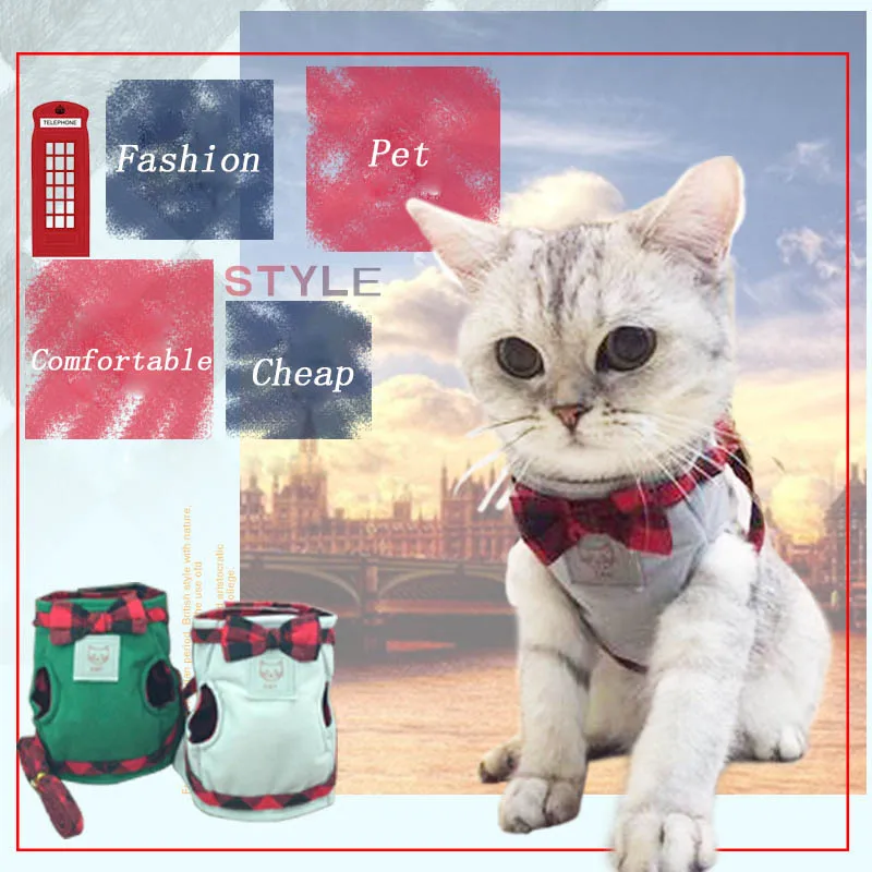 3766491236_1409840576