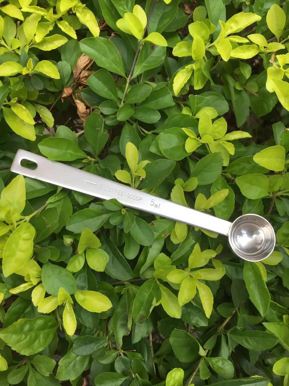 微信图片_20200517151150