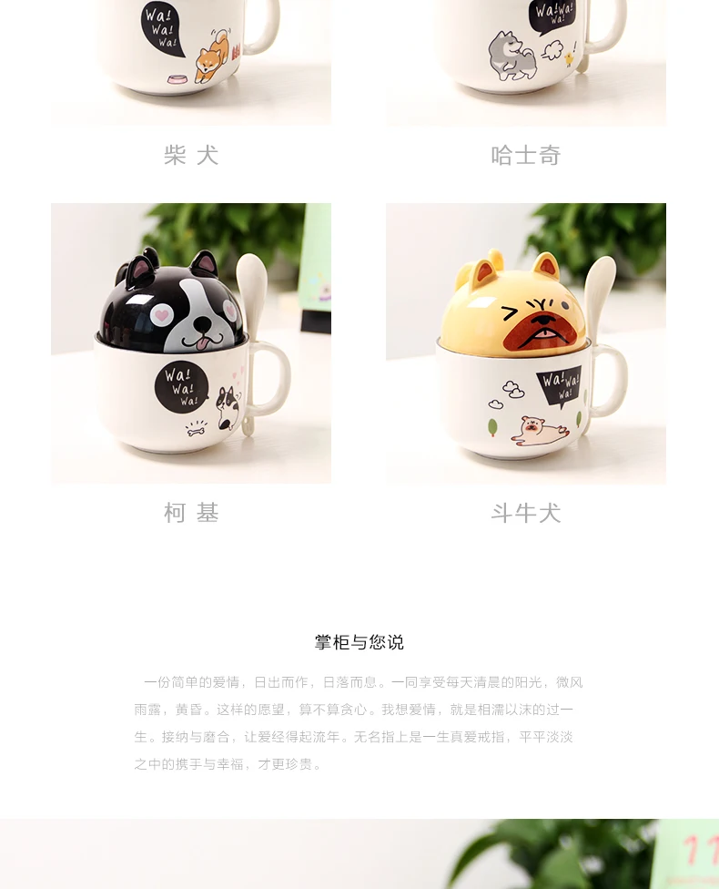 dsd (4)