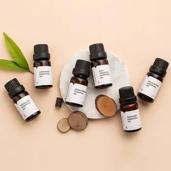 

10ML Car Air Freshener Water-soluble Car Perfume Natural Plant Fragrance Flavors Car Aromatherapy Essential Oil