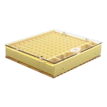 Пчелиный вывод маток система нетоксичный легкий Большой Пластиковый садовый набор оборудования клетка прочный культиватор коробка инструменты для пчеловодства