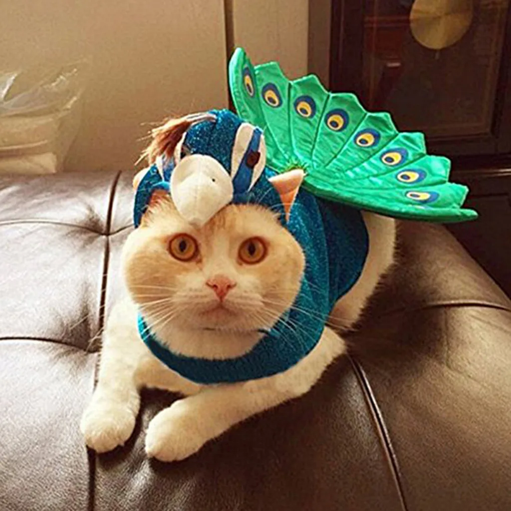 

Pet Dog Cat Clothes Halloween Peacock Hat Fashion Dog Clothes Cosplay Funny Cute Pet Costume Cosplay Peacock Clothes