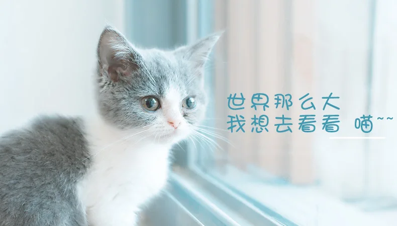 Стиль, веревка для кошки, Ручная Веревка для кошки, жилетка, стильная не ломающаяся цепочка для кота, привязанная к коту, набор для ходунков