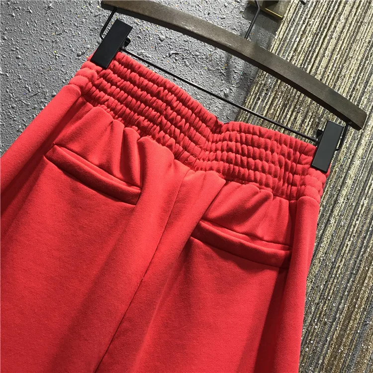 Стразы женские брюки плюс толстый бархат Весна и зима новые европейские товары эластичный пояс свободные шаровары боковые полосы брюки