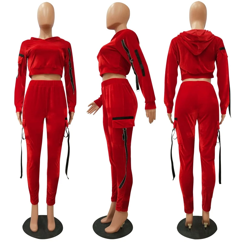 PinePear Winter Velvet Sports Wear for Women Gym Tracksuit Crop Hoodies Clothes Set Velour Jogging Suits Wholesale