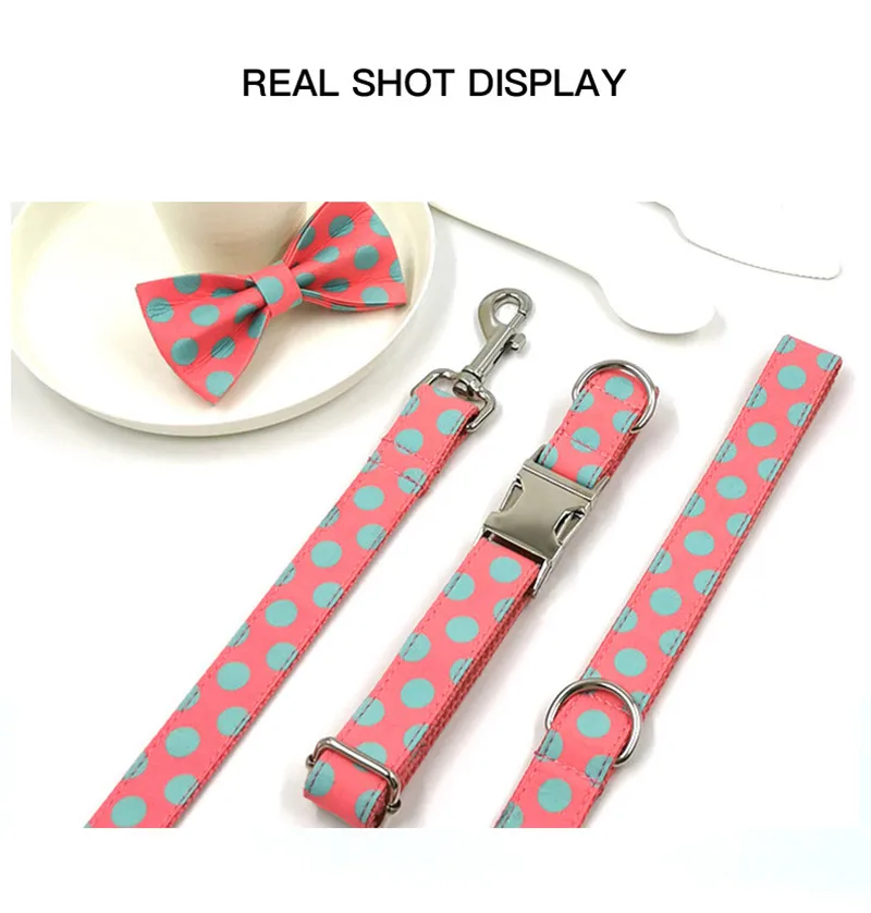 dog-collar-(45)_10
