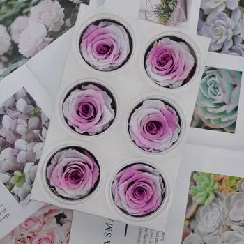 

6pcs/box Preserved Flower Immortal Rose Flower 5-6CM Mothers Day DIY Gift Eternal Life Flower Valentine Wedding Material