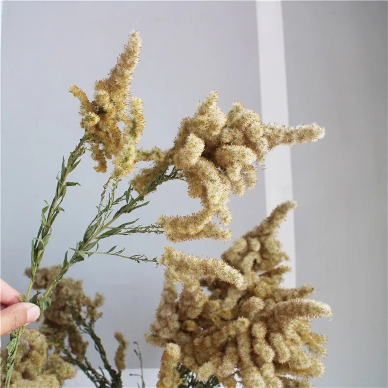 3 шт. сушеные растения Solidago altissima в форме елки, декоративные растения, сушеные цветы, настоящие натуральные Рождественские цветы