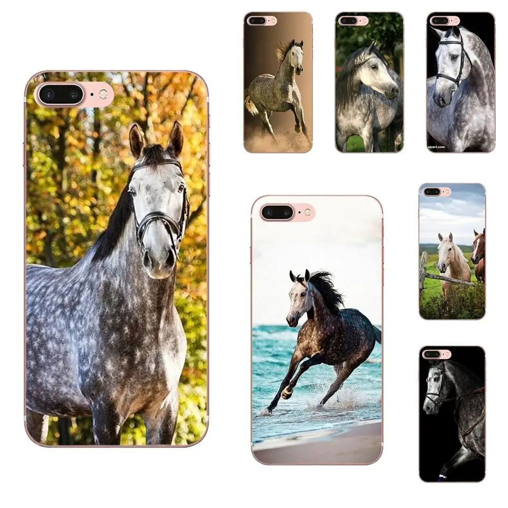 

Amazing Dappled Horse For Samsung Galaxy Note 5 8 9 S3 S4 S5 S6 S7 S8 S9 S10 5G mini Edge Plus Lite Soft Rubber Phone Case