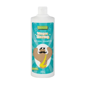 

Care Ginger Shampoo Ginger Strong, Stimulating capillary. Anti-Dandruff. Antioxidant