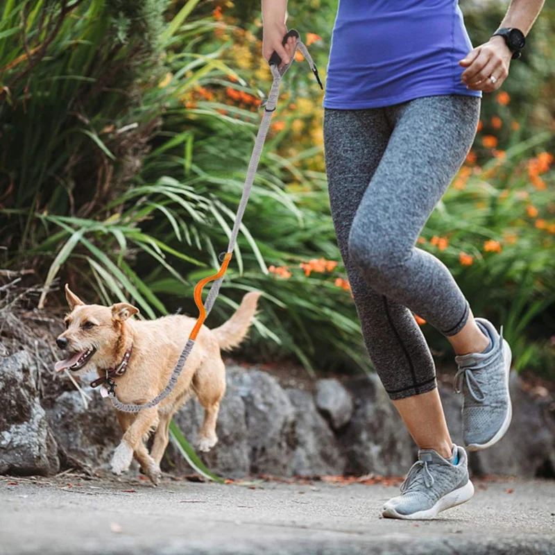 Hands Free Dog Leash for Walking Running Training Jogging,Heavy Duty Double Shock Absorbing Bungee Dog Leash Kit for 2 Dogs,Wais