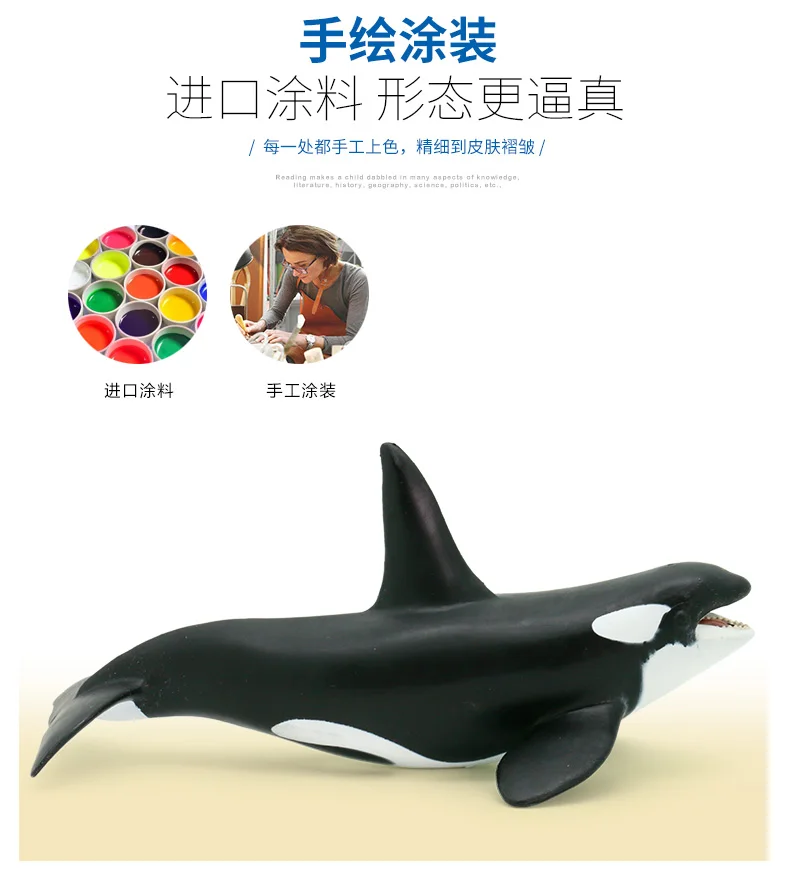 TB2cRpfad3nyKJjSZFjXXcdBXXa_!!2887009347