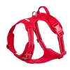Red dog harness