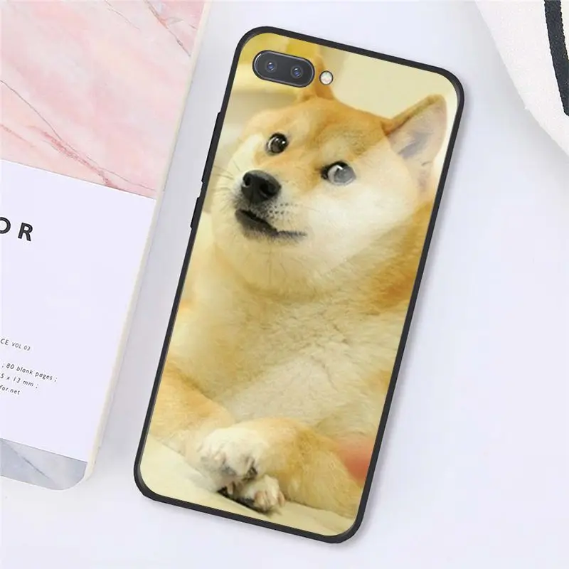 Doge Meme Kabosu Cute funny 