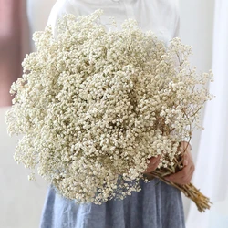 40-50cm Natural Fresh Dried Flowers Gypsophila paniculata,Baby's Breath Flower bouquets,gift & Wedding Decoration,Home Decor