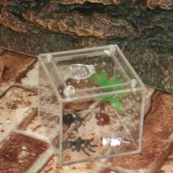 

Transparent Reptile Breeding Box Acrylic Pet Feeding Box For Breeding Spiders Scorpions Mantis Reptile Transport Breeding Live