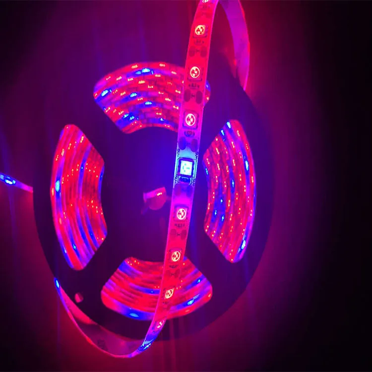 13739028802_278323188