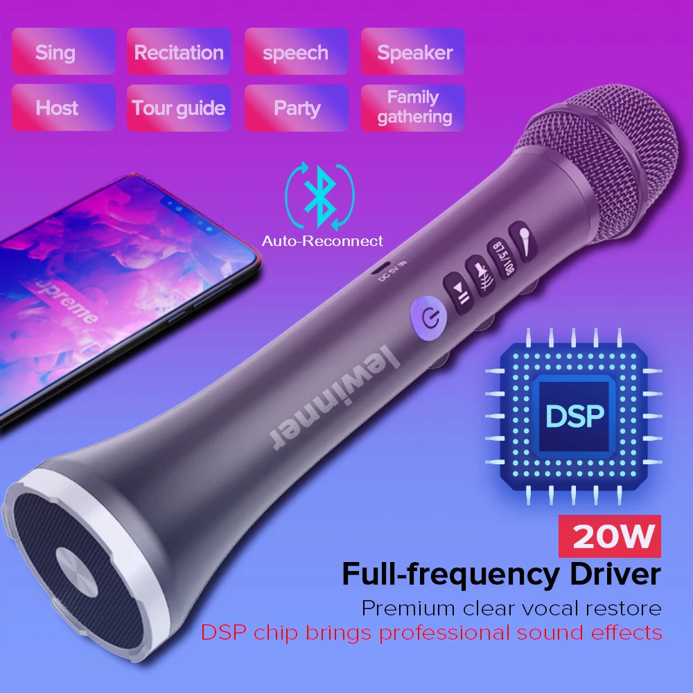 Lewinner L 698D Профессиональный 20 Вт портативный беспроводной Carpool Bluetooth караоке