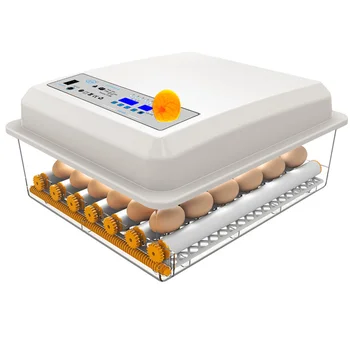 

1pc Household Incubation Case 24 Slots Incubator Eggs Incubation Box Breeding Container with EU Plug (Dual Power)