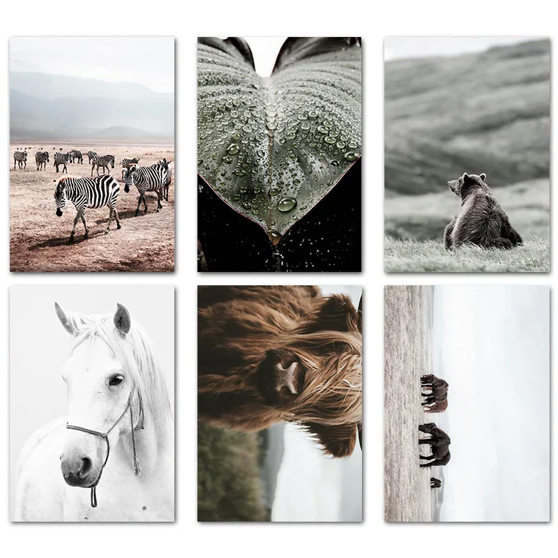 6 pcs Set Лошадь медведь дикий настенный постер в виде животных нордическая природа пейзаж принт скандинавский Холст Картина современное искусство украшение картина - Цвет: 6 pcs Set