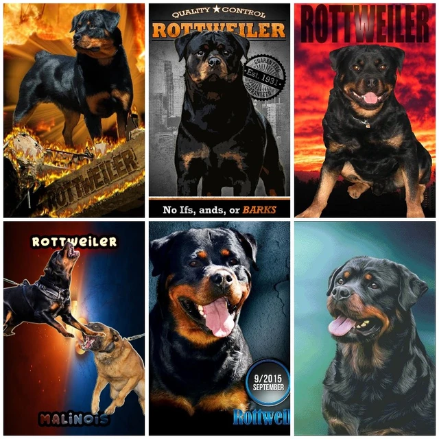 Warlock Rottweiler