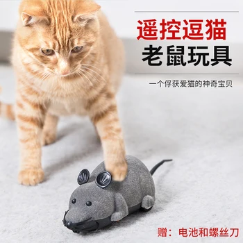 

Electric Products Kitten Toy Cat Accessories Pets Products Snacks Pet Supplies Cat Toy Kitten Speelgoed Kat Pet Supplies JJ60MWJ