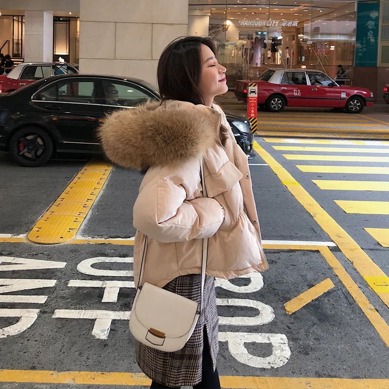 

Large Cargo 2018 Autumn And Winter New Style Korean-style WOMEN'S Wear Gorgeous Thick Short Large Fur Collar Cotton-padded Cloth