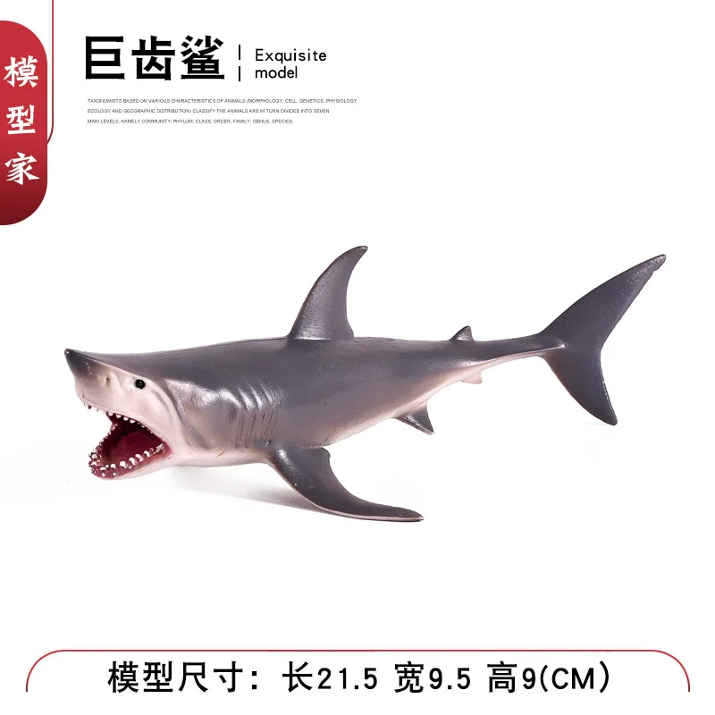 Children Model Biological Oceans Shark Solid Product Category Model Megalodon Seabed Killer Sharks Effective Shark